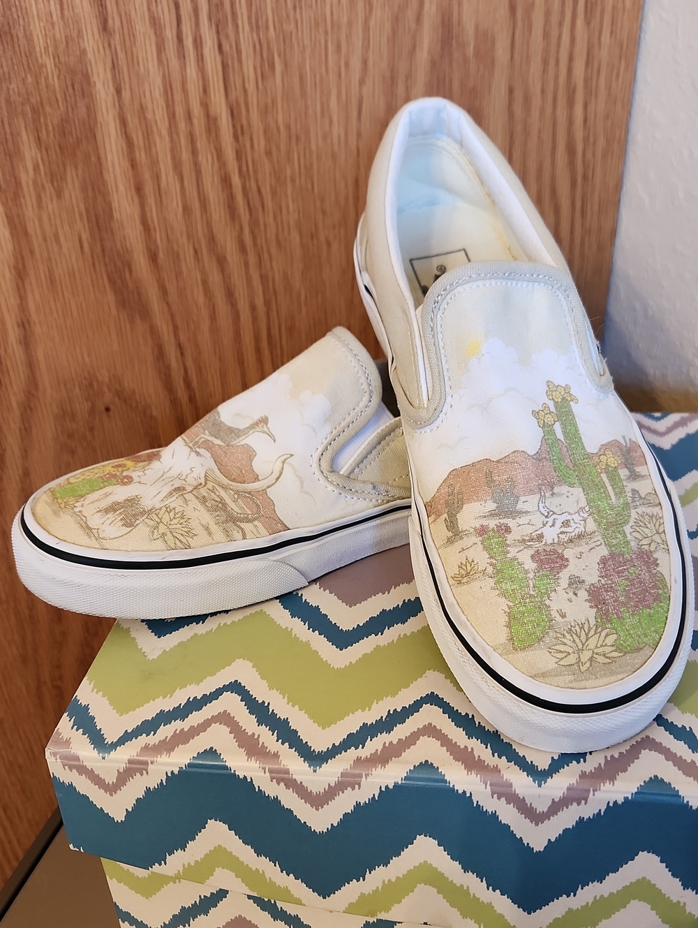 Vans Slip-On Sneakers in Cream with Green and Brown Desert Scene